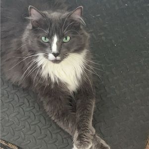 Meet your Posher, Leon